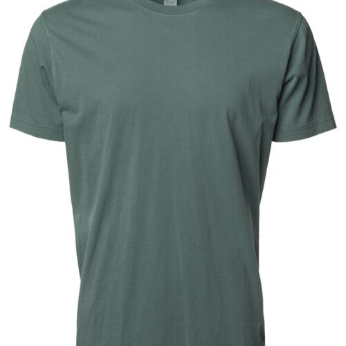 Unisex Premium T-Shirt Thumbnail